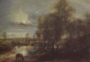 Peter Paul Rubens Landscape by Moonlight (mk43) painting